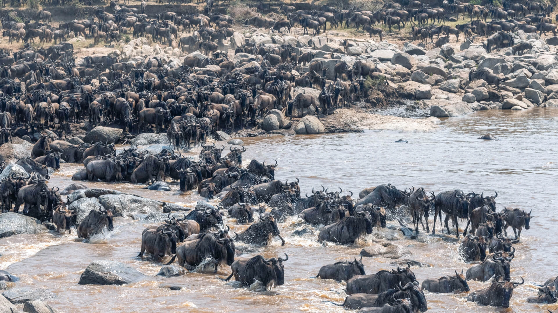 Central Serengeti migration safari area in Tanzania