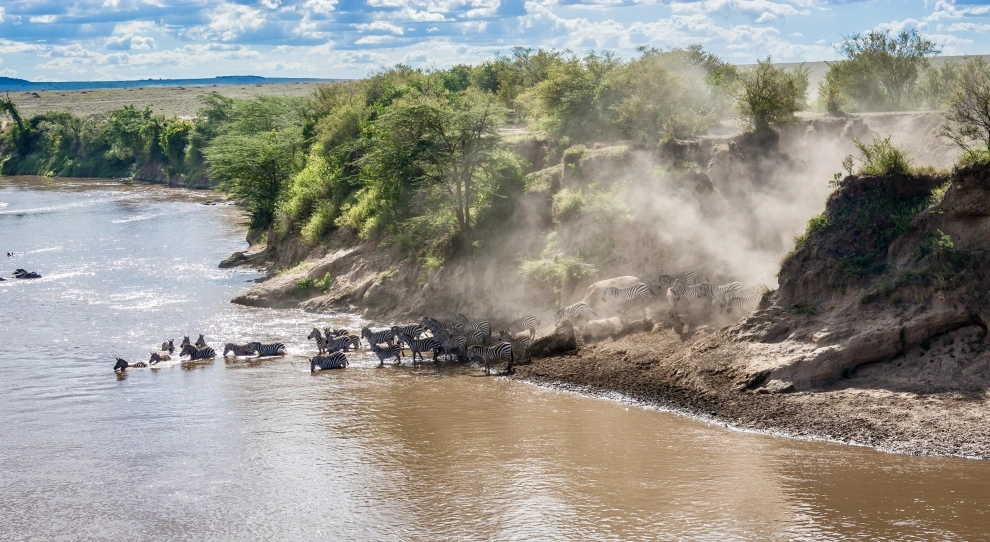 Luxury migration safari traveler in East Africa