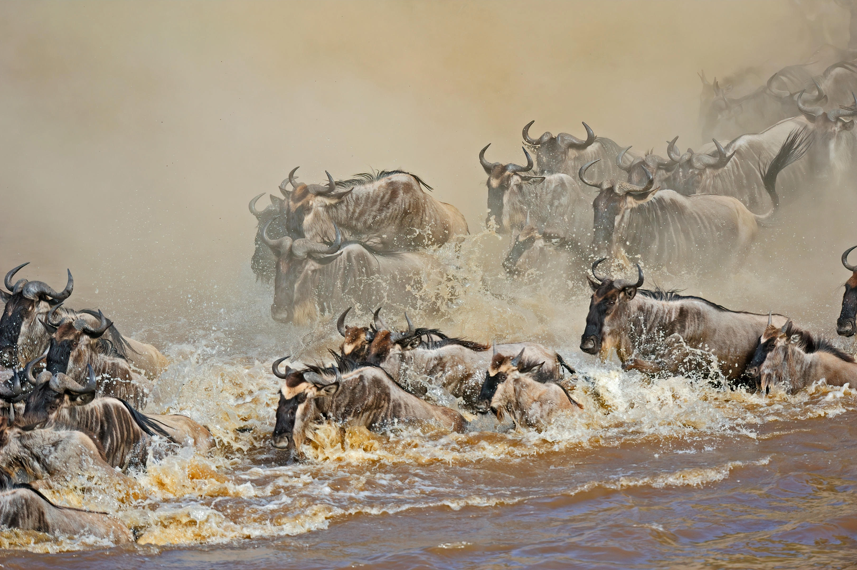 9 days East Africa Mara crater and Serengeti migration safari